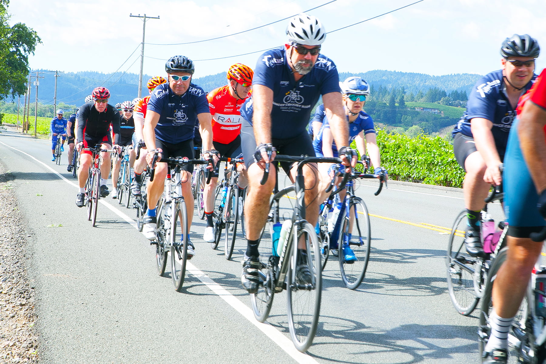 Third Annual Velo & Vines Century Ride