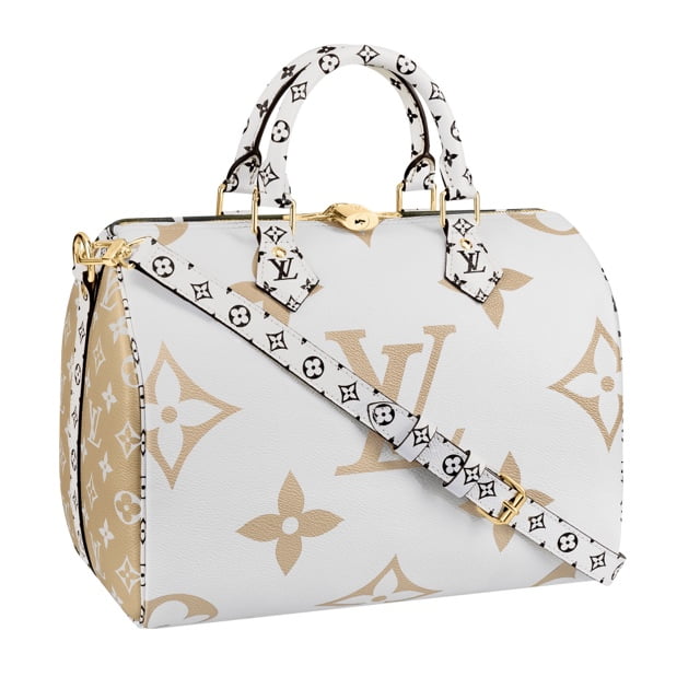 Louis Vuitton Reimagines its Santa Monica Camera Bag for Summer 2019