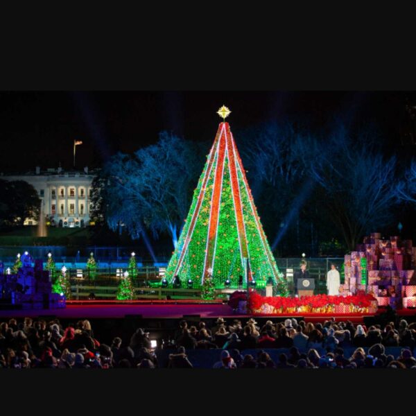 national christmas tree lighting