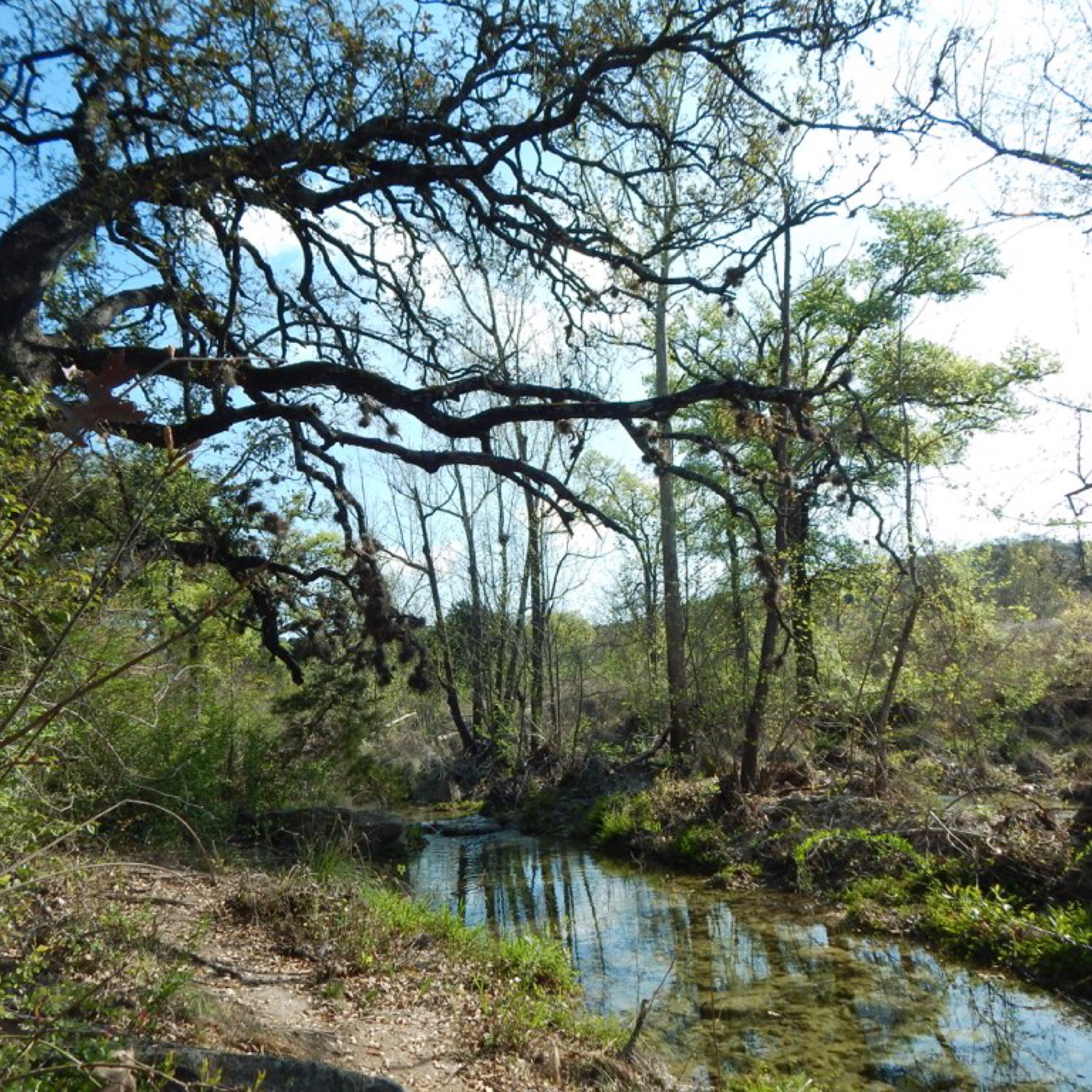 Canyon of the Eagles, Highland Lakes, Texas, Vaughn Lowery, 360 Magazine, 