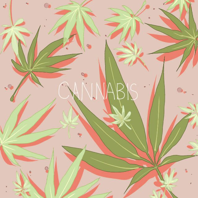 Cannabis, 360 MAGAZINE