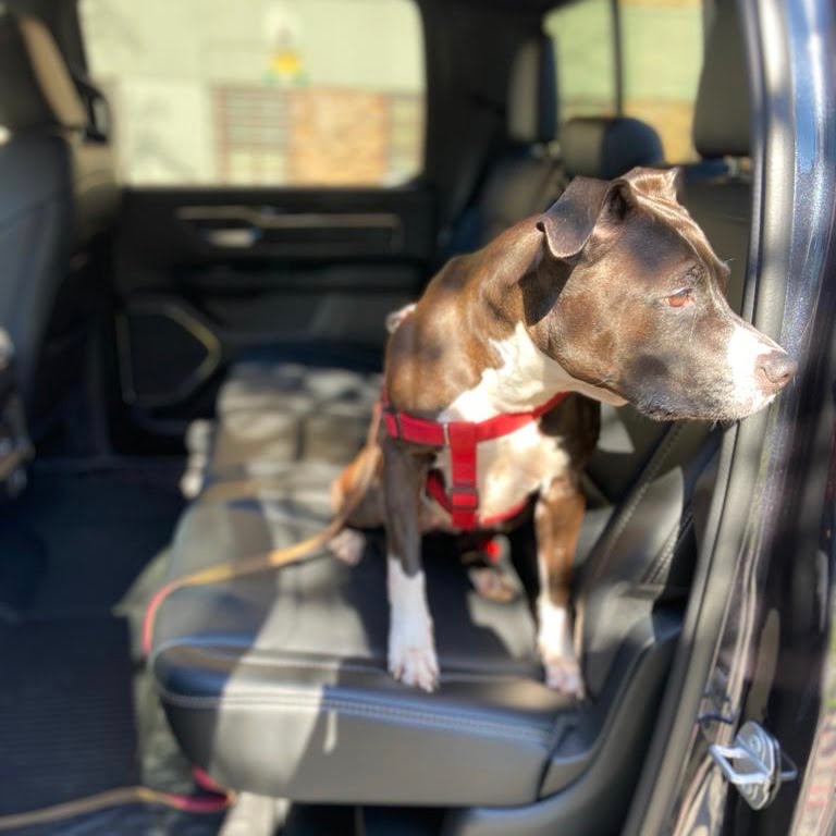 Ram Trucks, 360 MAGAZINE, Vaughn Lowery