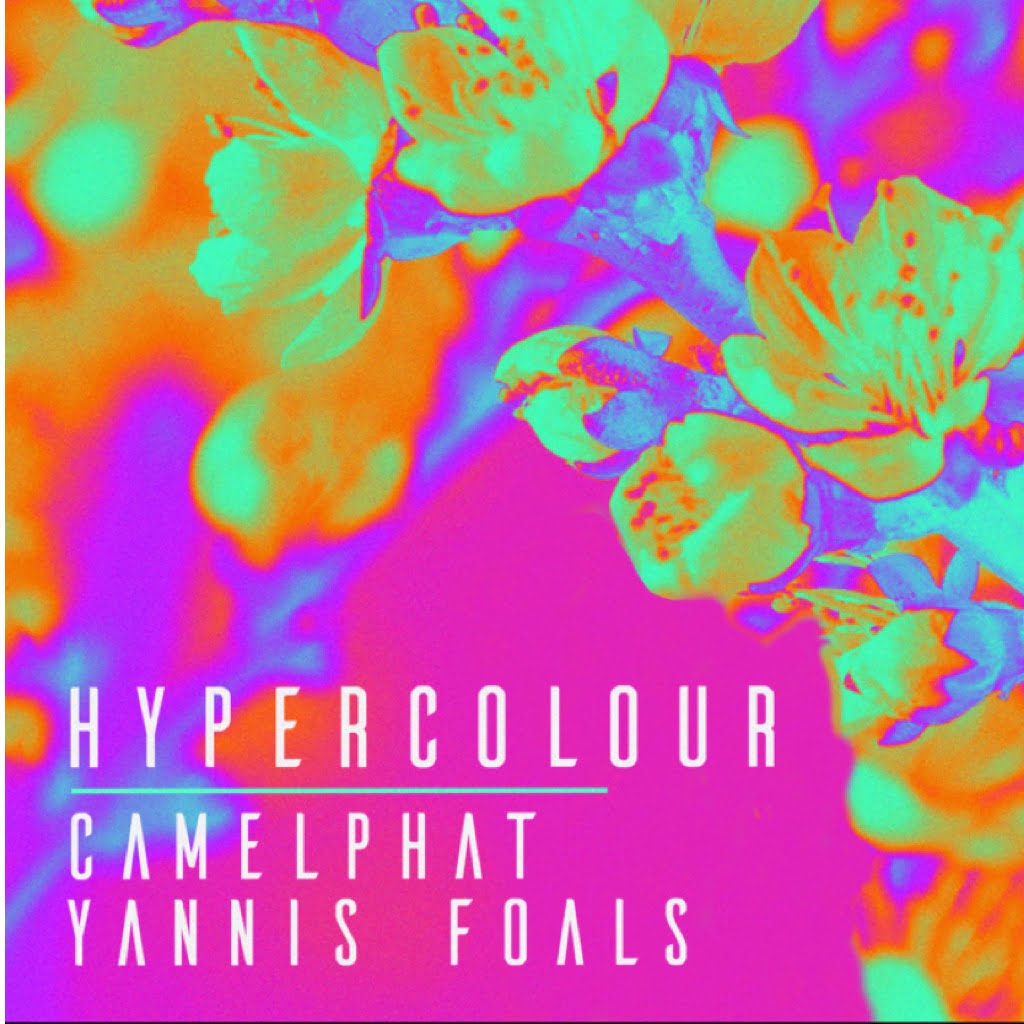 360 Magazine, Camelphat