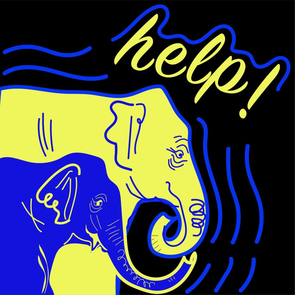 Rita Azar illustrates elephants for 360 MAGAZINE