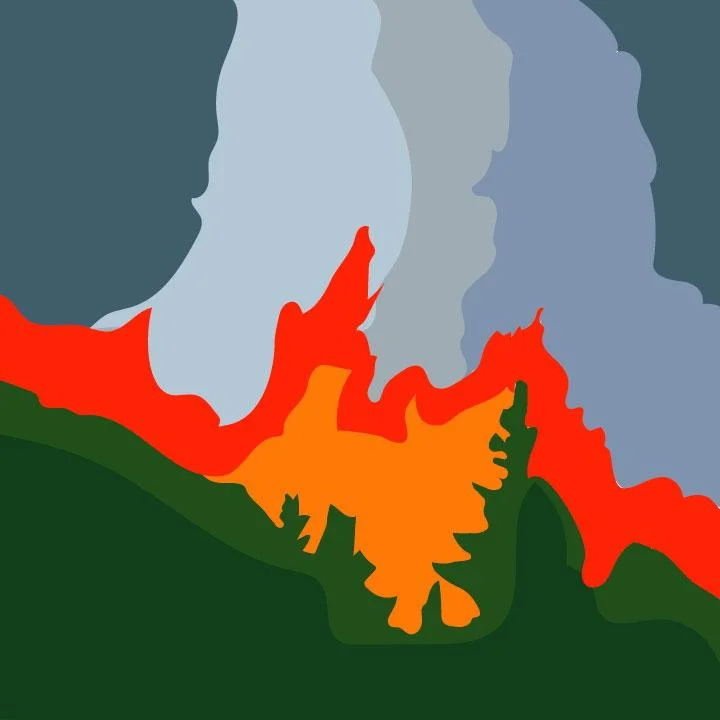 Kaelen Felix illustrates wildfire article for 360 MAGAZINE.