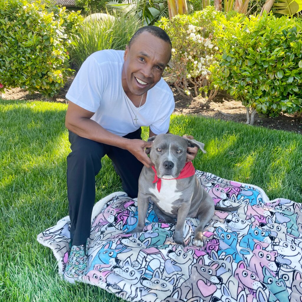 BOBS from Skechers x SRL National Rescue Dog Day image via Daylyn Weppner at Rogers and Cowan PMK for use by 360 Magazine