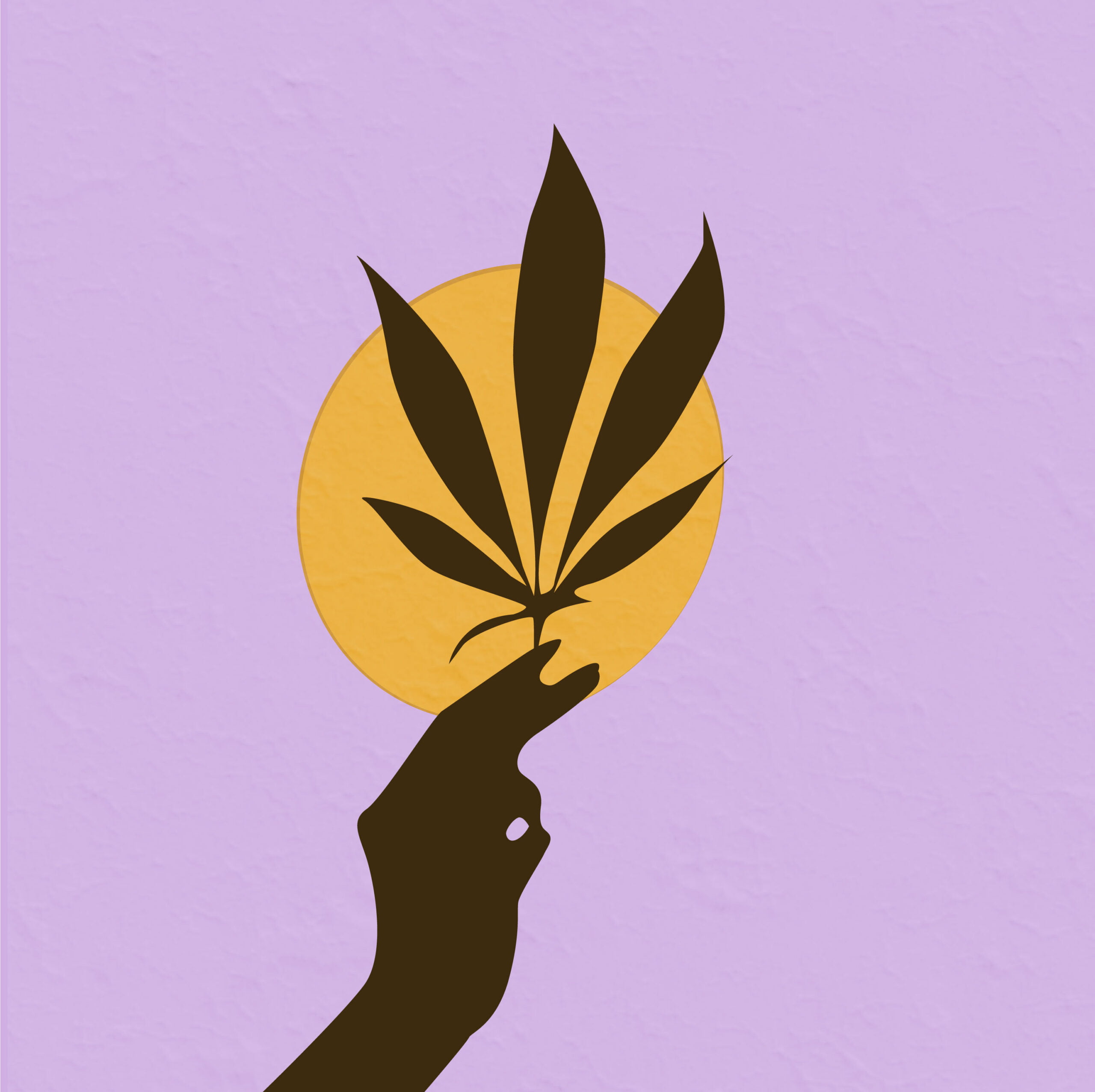 Cannabis illustration by Rita Azar for 360 Magazine