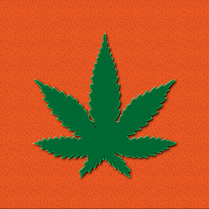 Marijuana illustration by Heather Skovlund for 360 Magazine