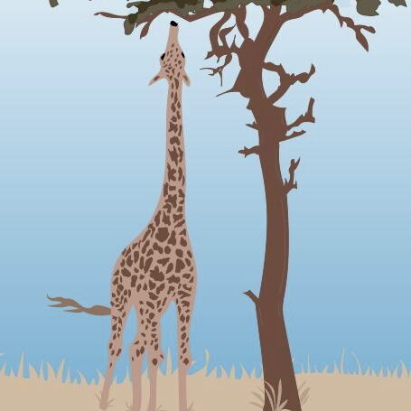 safari illustration by Heather Skovlund for 360 Magazine