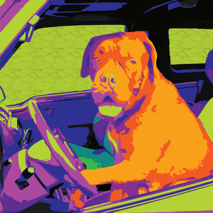 Dog Driving illustration by Heather Skovlund (Original Photo Credit: Pixabay) for 360 Magazine