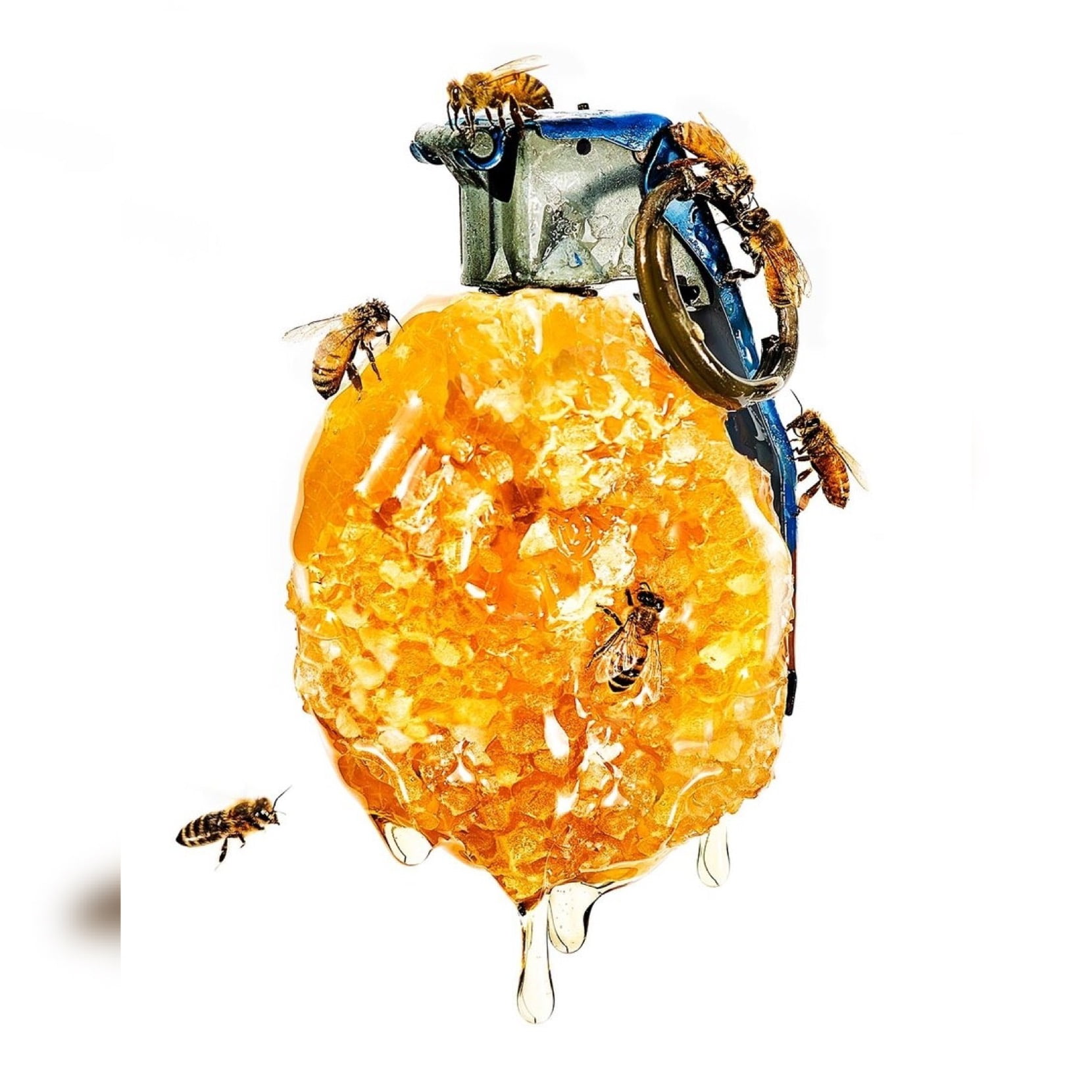 Matt McKey Honey Doo! Image by VENMARK INTERNATIONAL for use by 360 Magazine