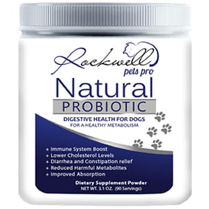 Rockwell Pets Pros Natural Dog Probiotics image via Maggie Douglas at Everything Branding for use by 360 Magazine