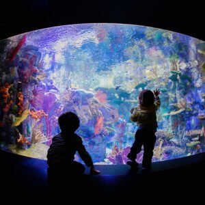 by Birch Aquarium for use by 360 Magazine