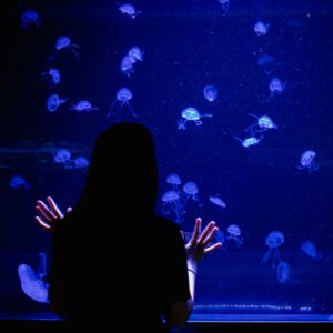 by Birch Aquarium for use by 360 Magazine