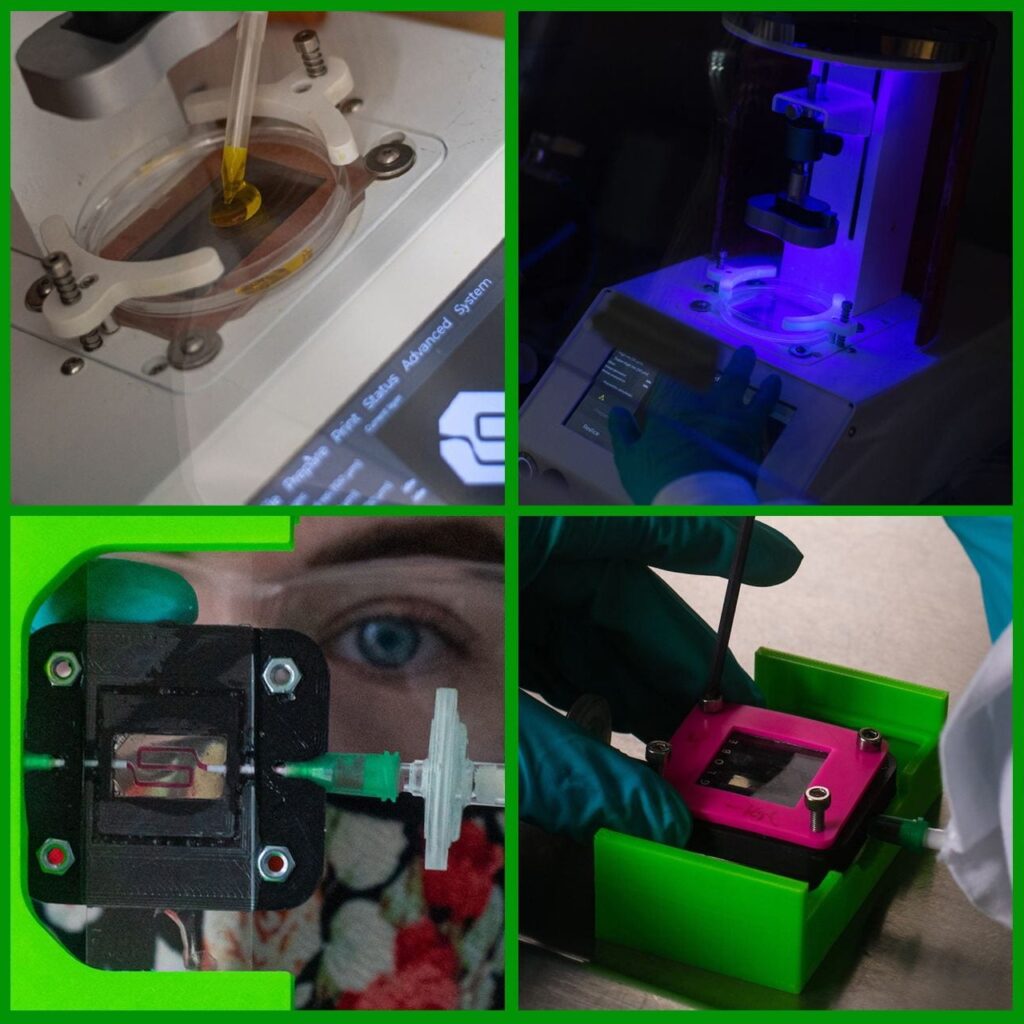 Rice University via Rice University for use by 360 Magazine