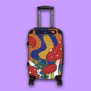 MLWXBF Cabin Suitcase