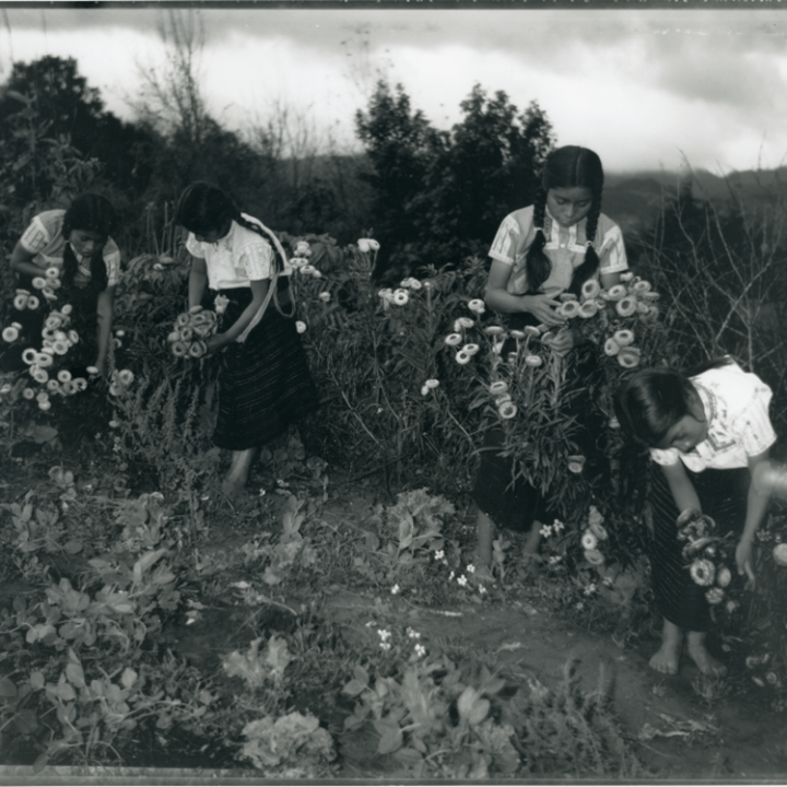 "My Friends are Picking Flowers" by Salvador Gomez, Jiminez and Wendy Ewald via Ramsey Hoey of Carol Fox Associates for use by 360 Magazine