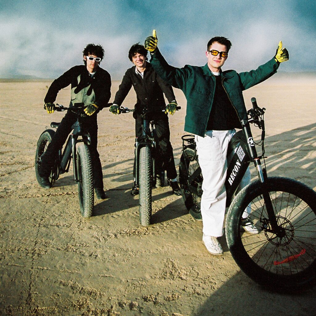 Wallows via Dillon Matthew for use by 360 Magazine