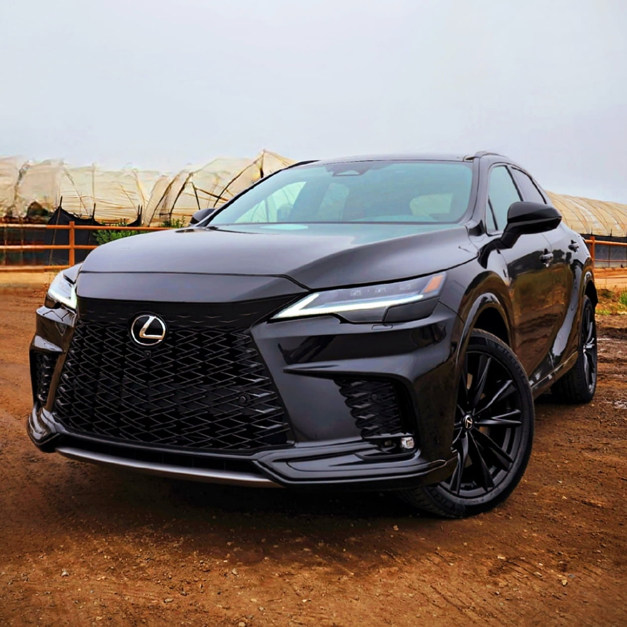 2023 Lexus RX car review by Vaughn Lowery inside 360 MAGAZINE