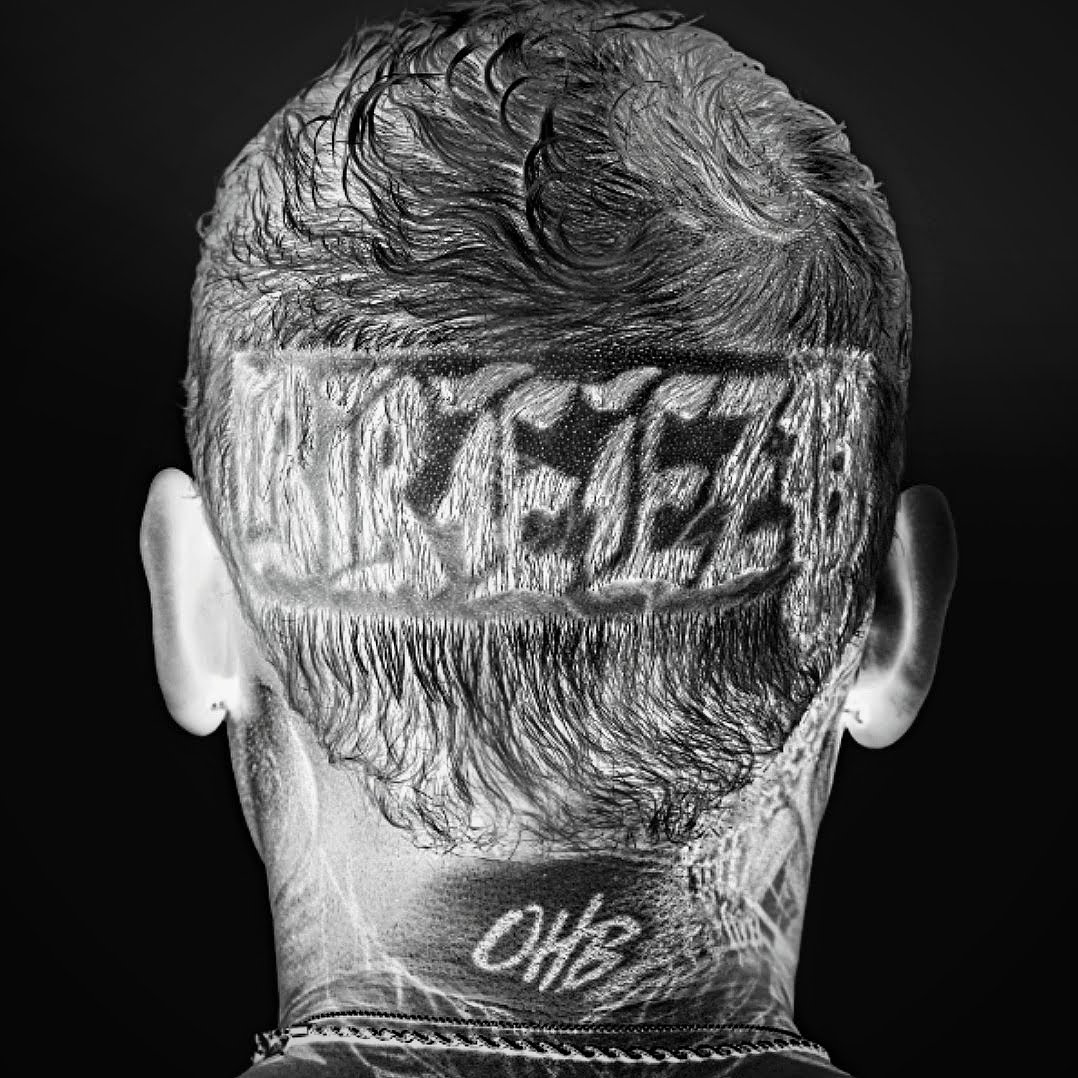 Chris Brown Breezy Album Artwork via 360 MAGAZINE.