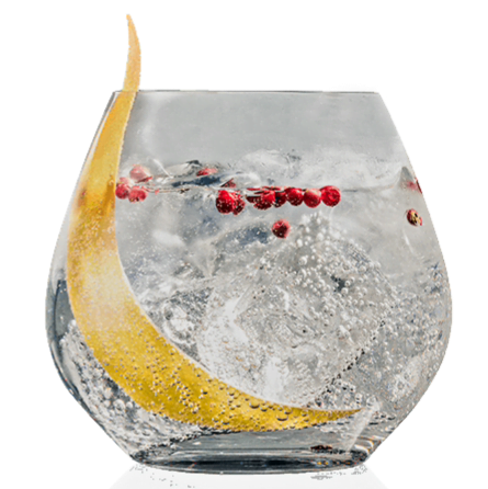 Canaïma Perfect Tonic cocktail via 360 MAGAZINE.