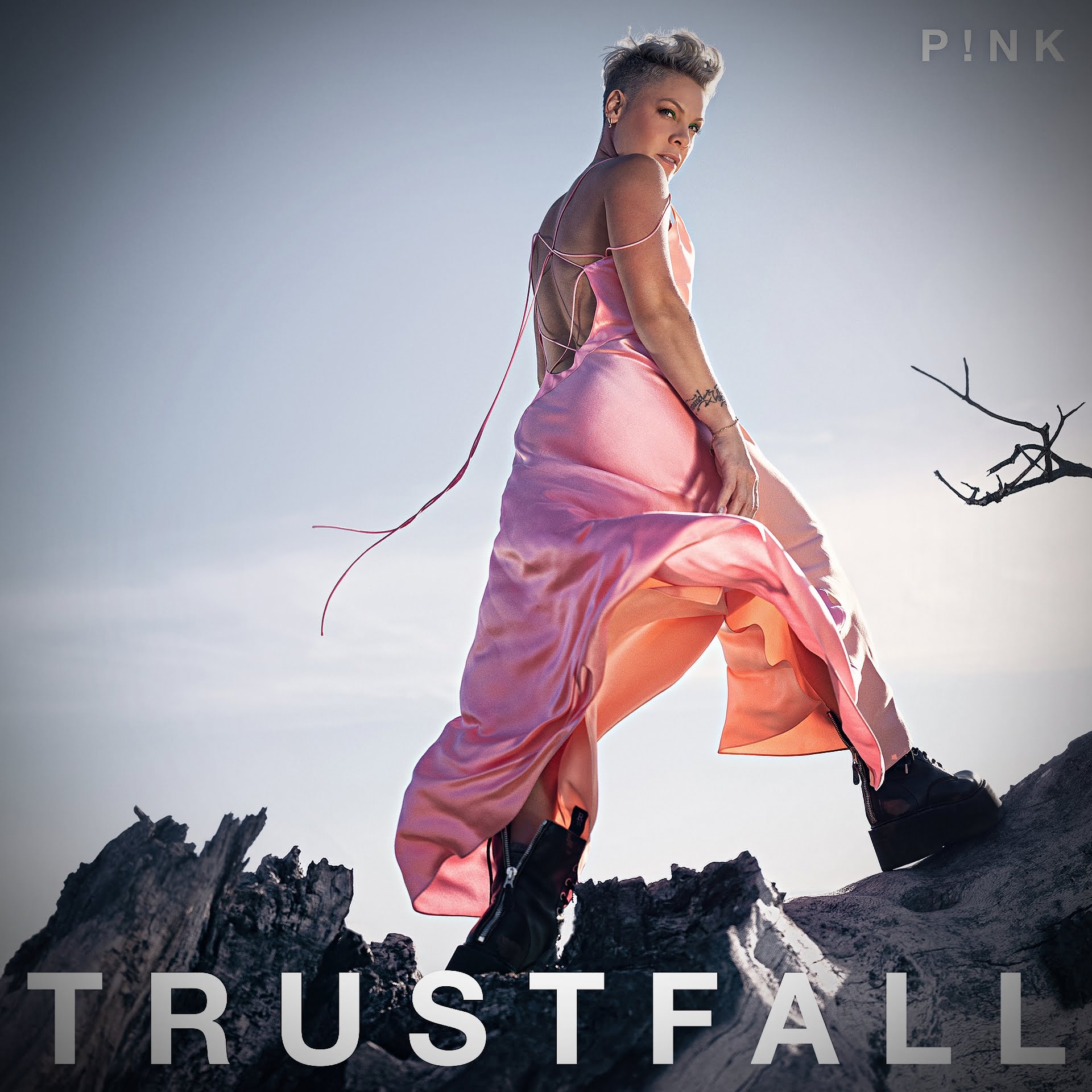 P!NK releases ninth studio album trustfall via 360 MAGAZINE.