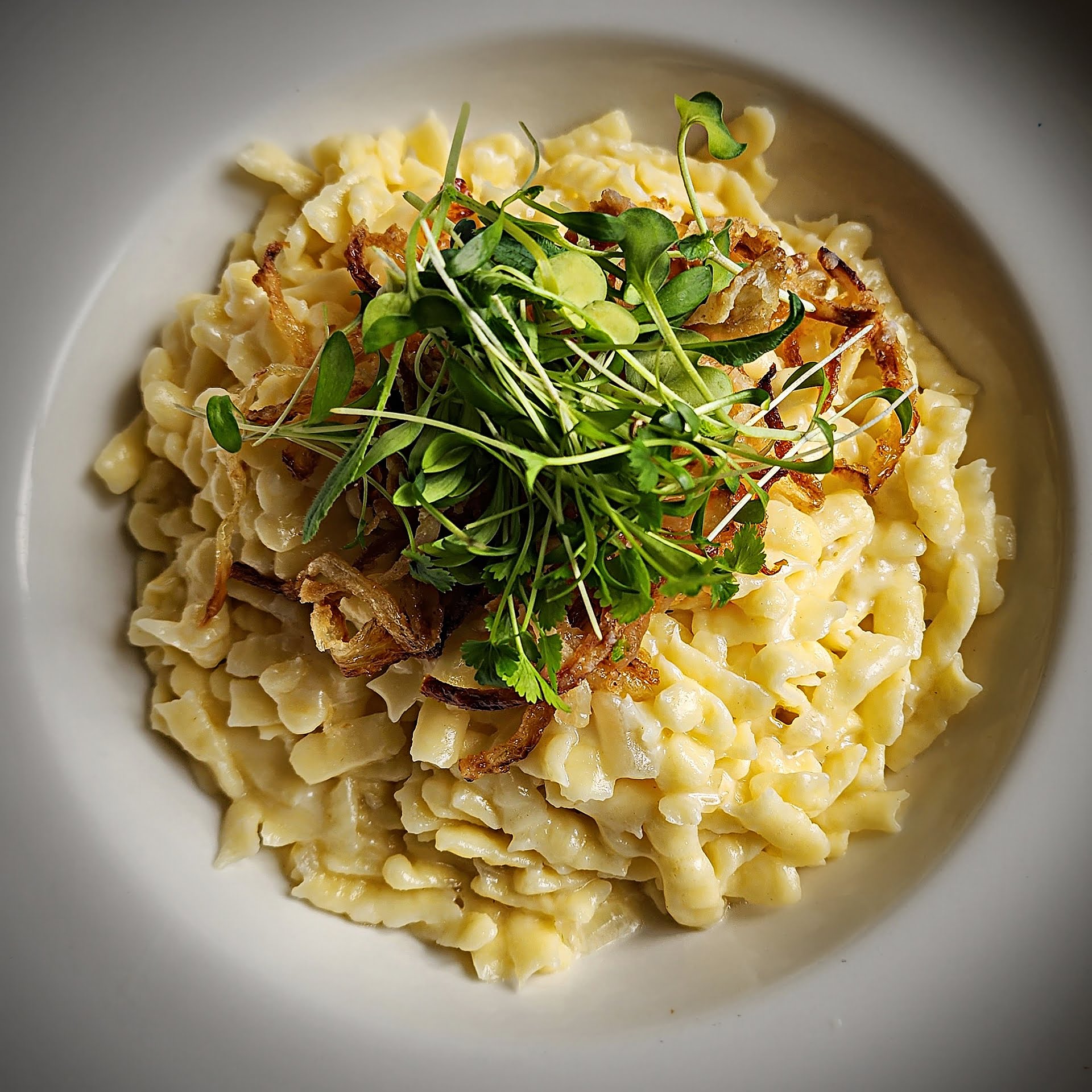 Cheese noodles at The Mule Cafe at Spinnerei in Leipzig via 360 MAGAZINE. 