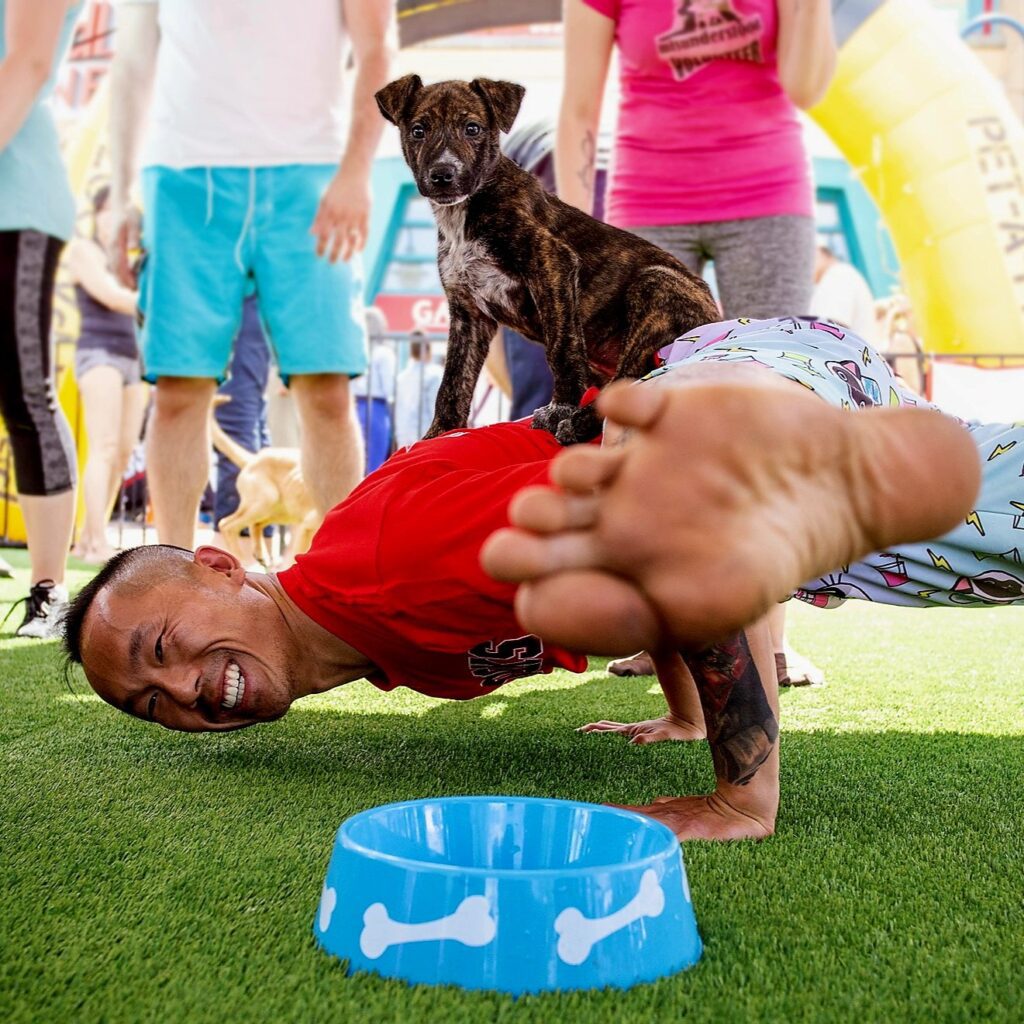 Dog of the Day festival in Santa Monica via 360 MAGAZINE.