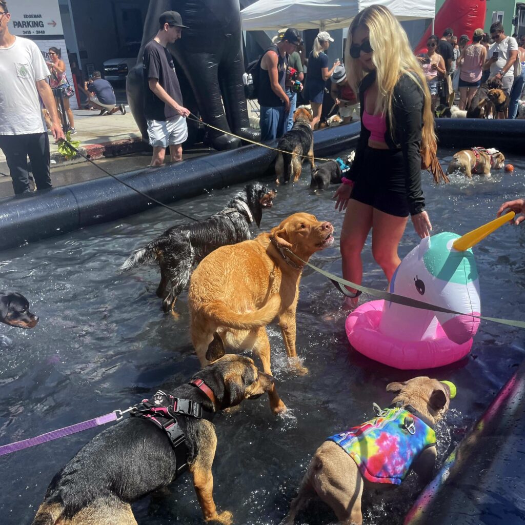 Dog of the Day Santa Monica had over 10K attendees media sponsored by 360 MAGAZINE photo by Brooke Bondurant.