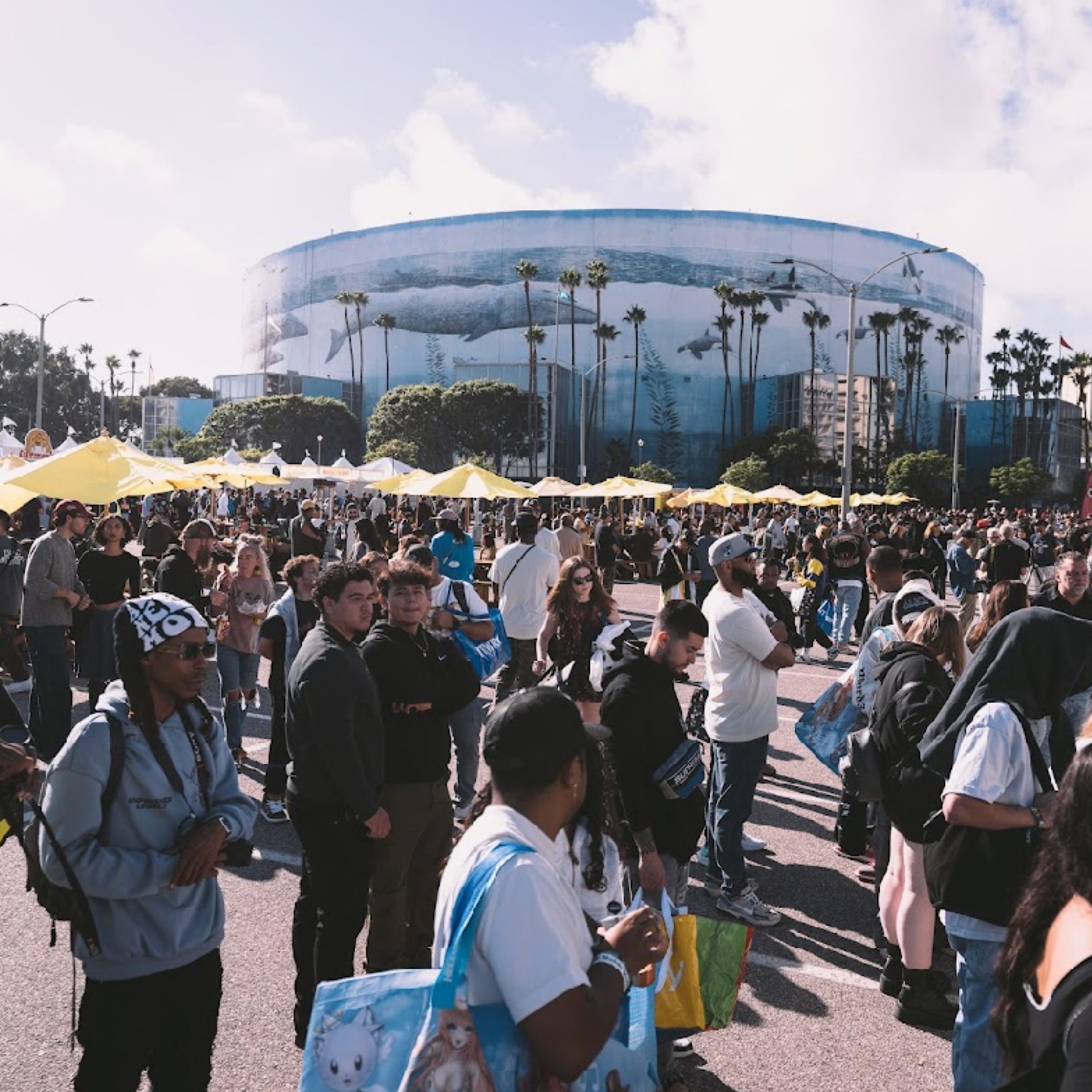 ComplexCon day 2