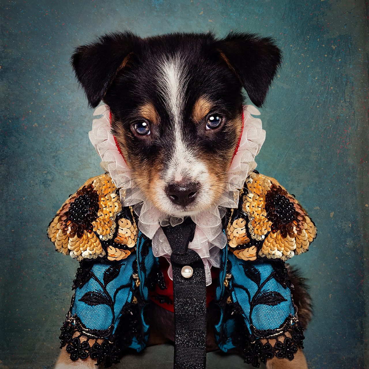 Anthony Rubio dog fashions during NYFW.