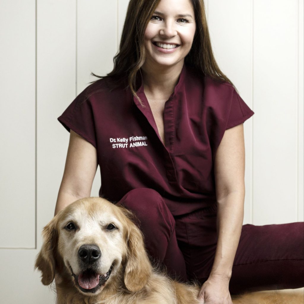 Dr. Kelly Fishman, DVM, CVA, CCRT, Veterinary Advisory Member, MYOS PET via 360 Magazine.