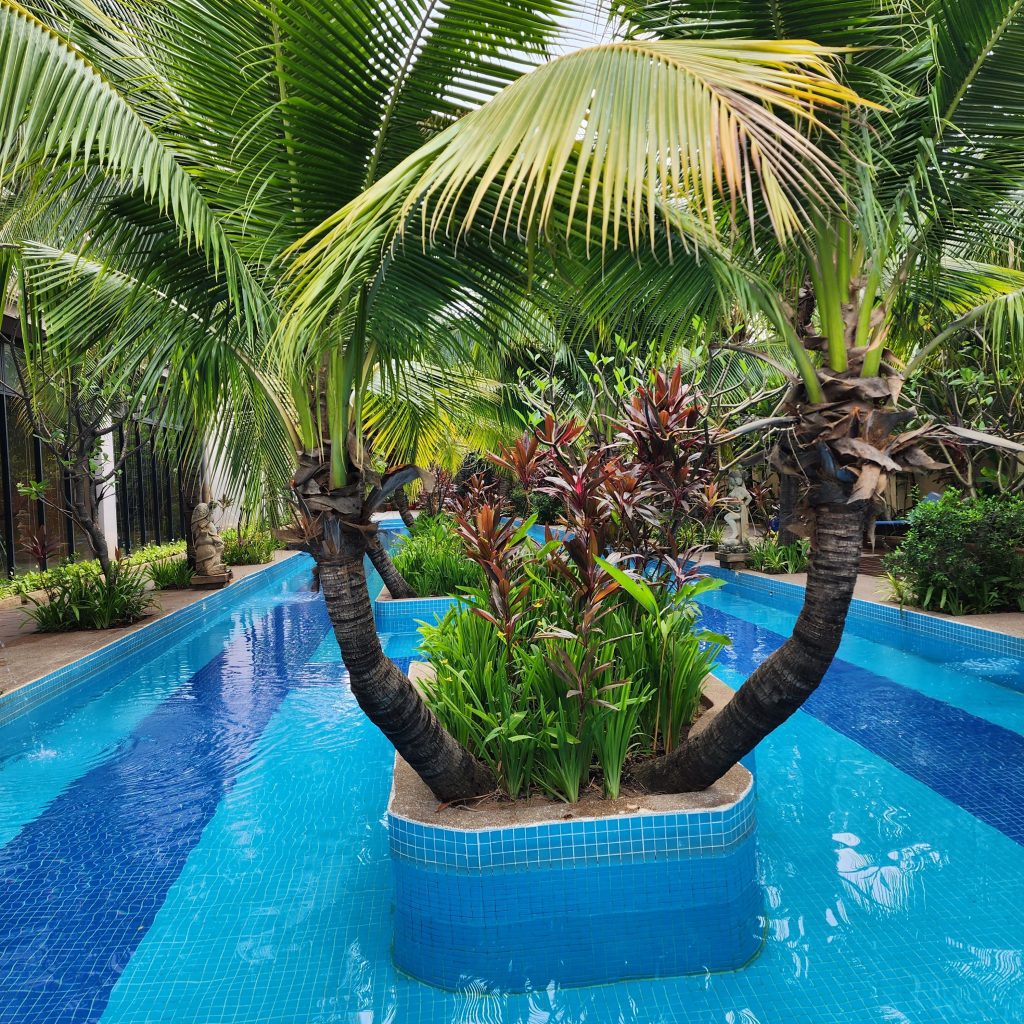 Cannabis article image captured by Vaughn Lowery in Phnom Penh Cambodia via 360 MAGAZINE.