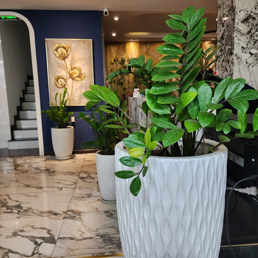 Creating longevity and health span image captured by Vaughn Lowery in Ho Chi Minh City Vietnam at Kunkin Luxury Apartments for 360 MAGAZINE.