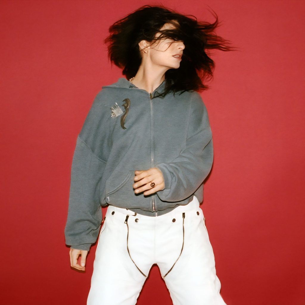 Lorde announces ultrasound America and Europe tour via 360 MAGAZINE.