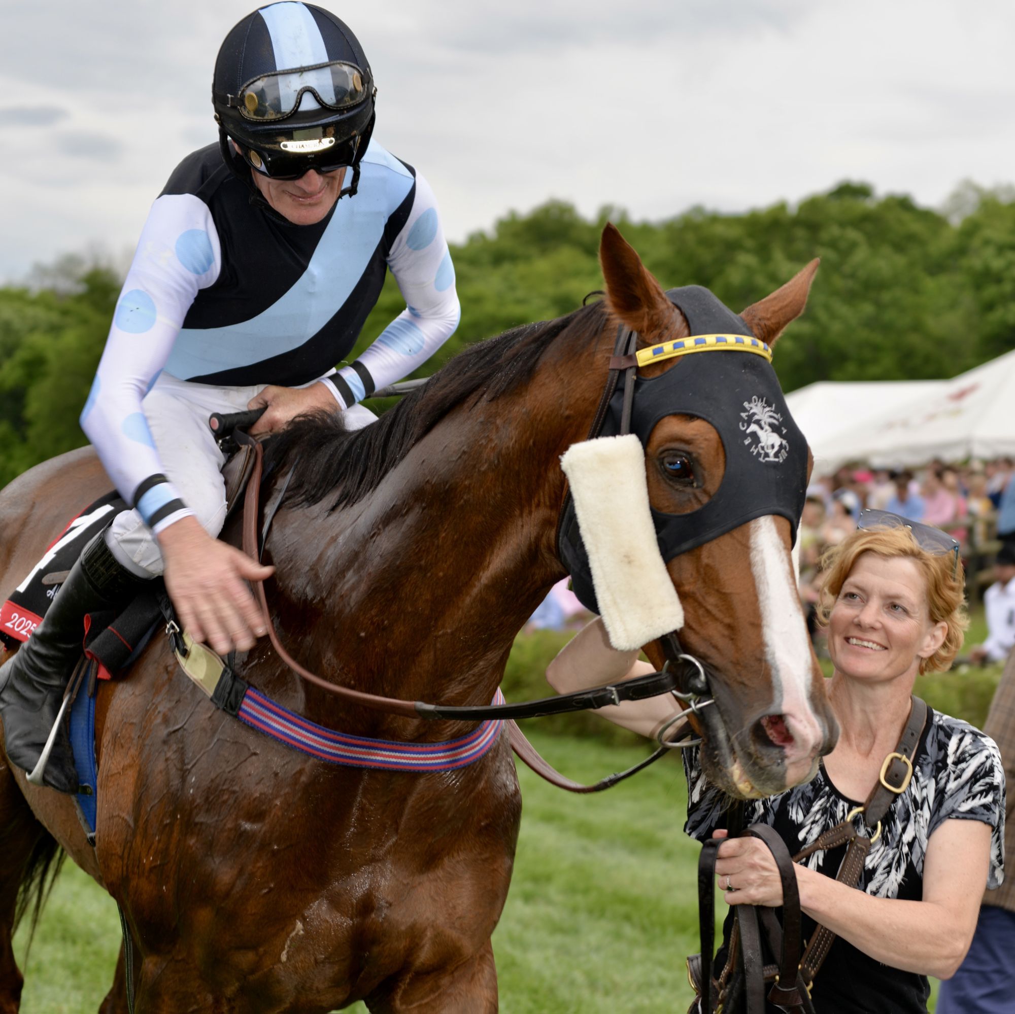 ABAAN, the winner of the 2025 Calvin Houghland Iroquois Steeplechase Grade 1 race in Nashville, TN on May 10, 2025. Photo Credit: Brenda Black via 360 MAGAZINE.