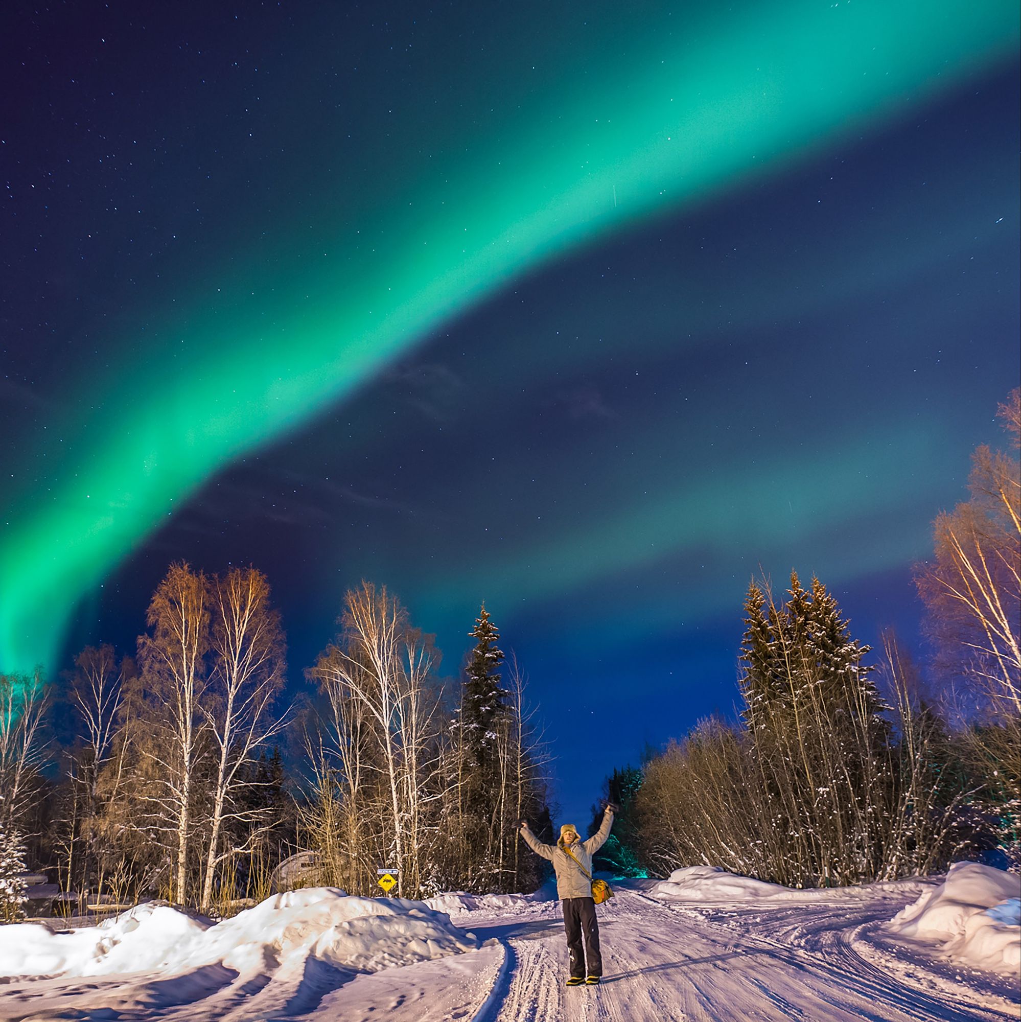 Gondwana Ecotours is thrilled to announce its new “Solar Maximum” Alaska Northern Lights Adventure, an eight-day tour designed to take advantage of a once-in-a-decade celestial event. As the sun peaks in its 11-year cycle, known as the solar maximum, there has been a surge in the intensity and frequency of the Aurora Borealis via 360 MAGAZINE.