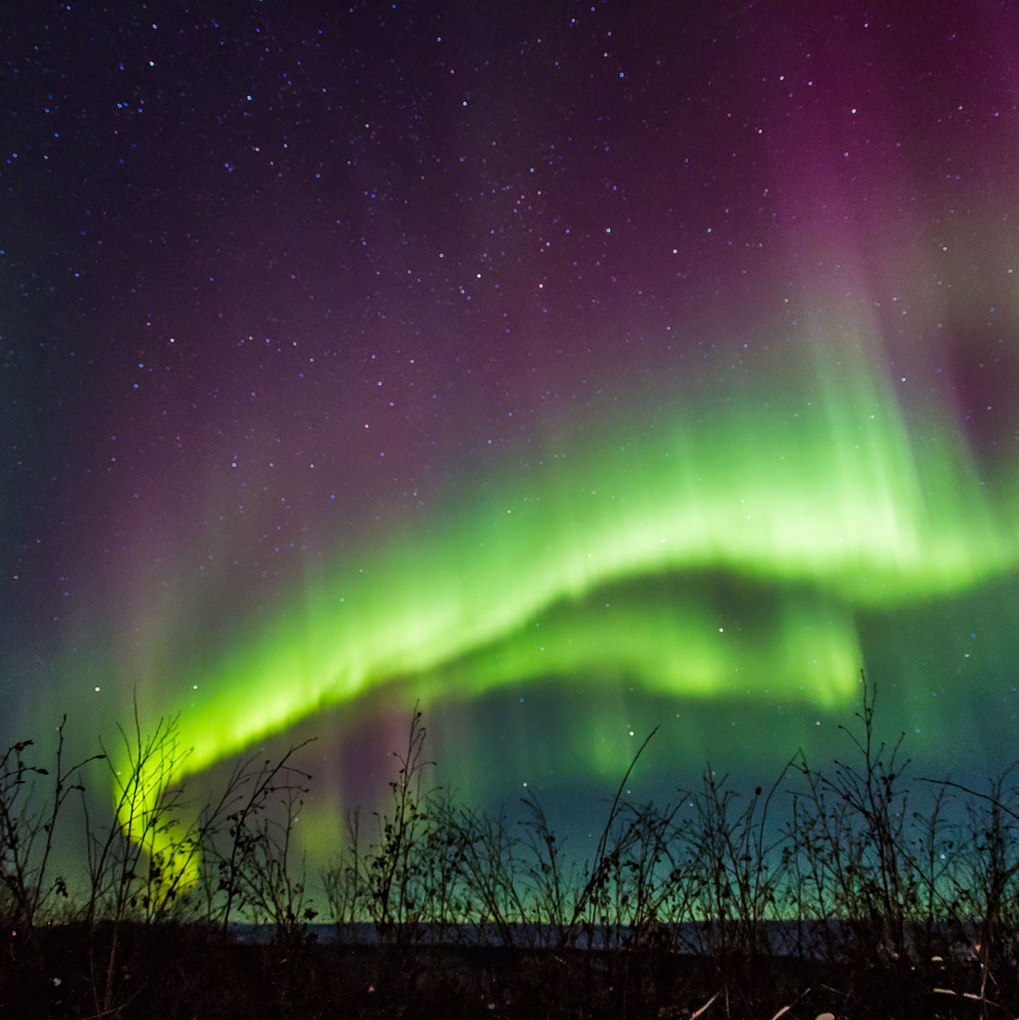 Gondwana Ecotours is thrilled to announce its new “Solar Maximum” Alaska Northern Lights Adventure, an eight-day tour designed to take advantage of a once-in-a-decade celestial event. As the sun peaks in its 11-year cycle, known as the solar maximum, there has been a surge in the intensity and frequency of the Aurora Borealis via 360 MAGAZINE.