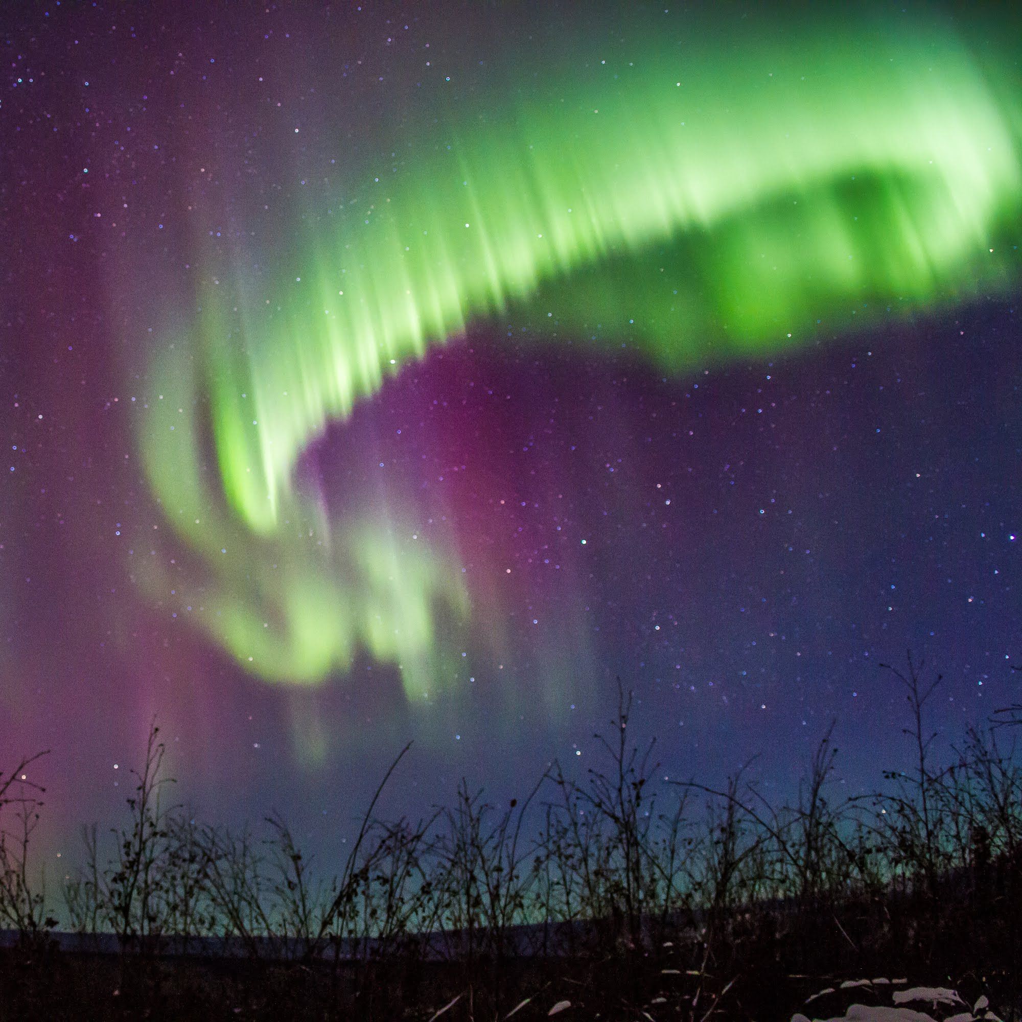 Gondwana Ecotours is thrilled to announce its new “Solar Maximum” Alaska Northern Lights Adventure, an eight-day tour designed to take advantage of a once-in-a-decade celestial event. As the sun peaks in its 11-year cycle, known as the solar maximum, there has been a surge in the intensity and frequency of the Aurora Borealis via 360 MAGAZINE.