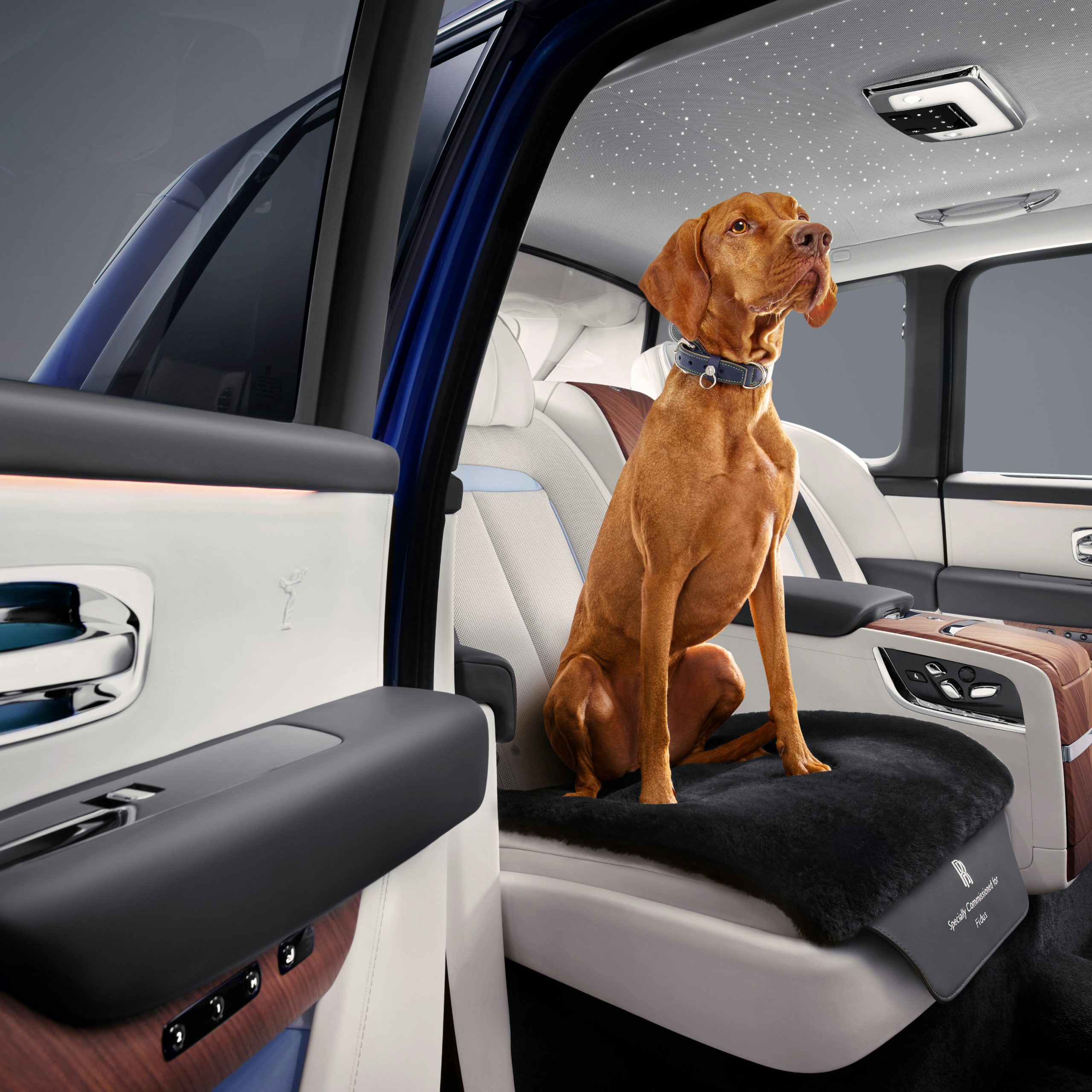 Rolls-Royce dog collar via 360 MAGAZINE.