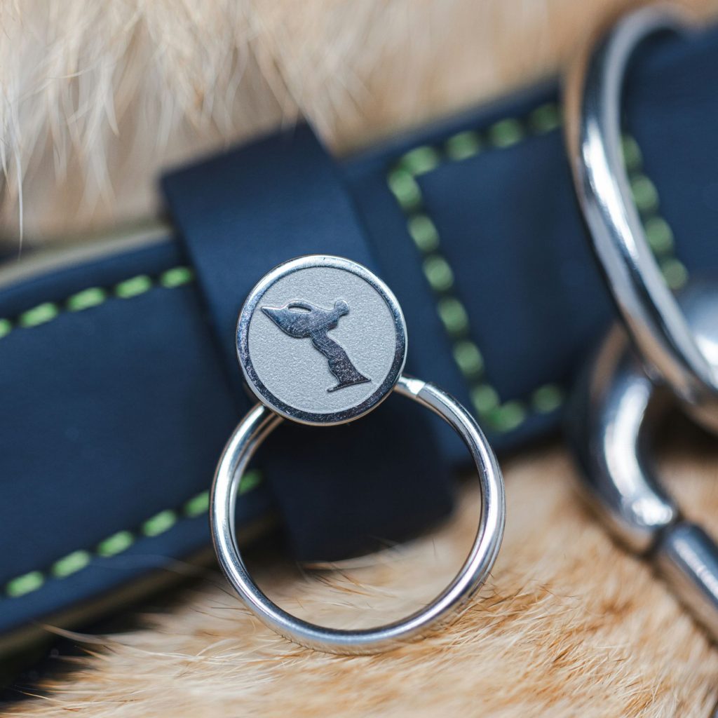 Rolls-Royce dog collar via 360 MAGAZINE. 