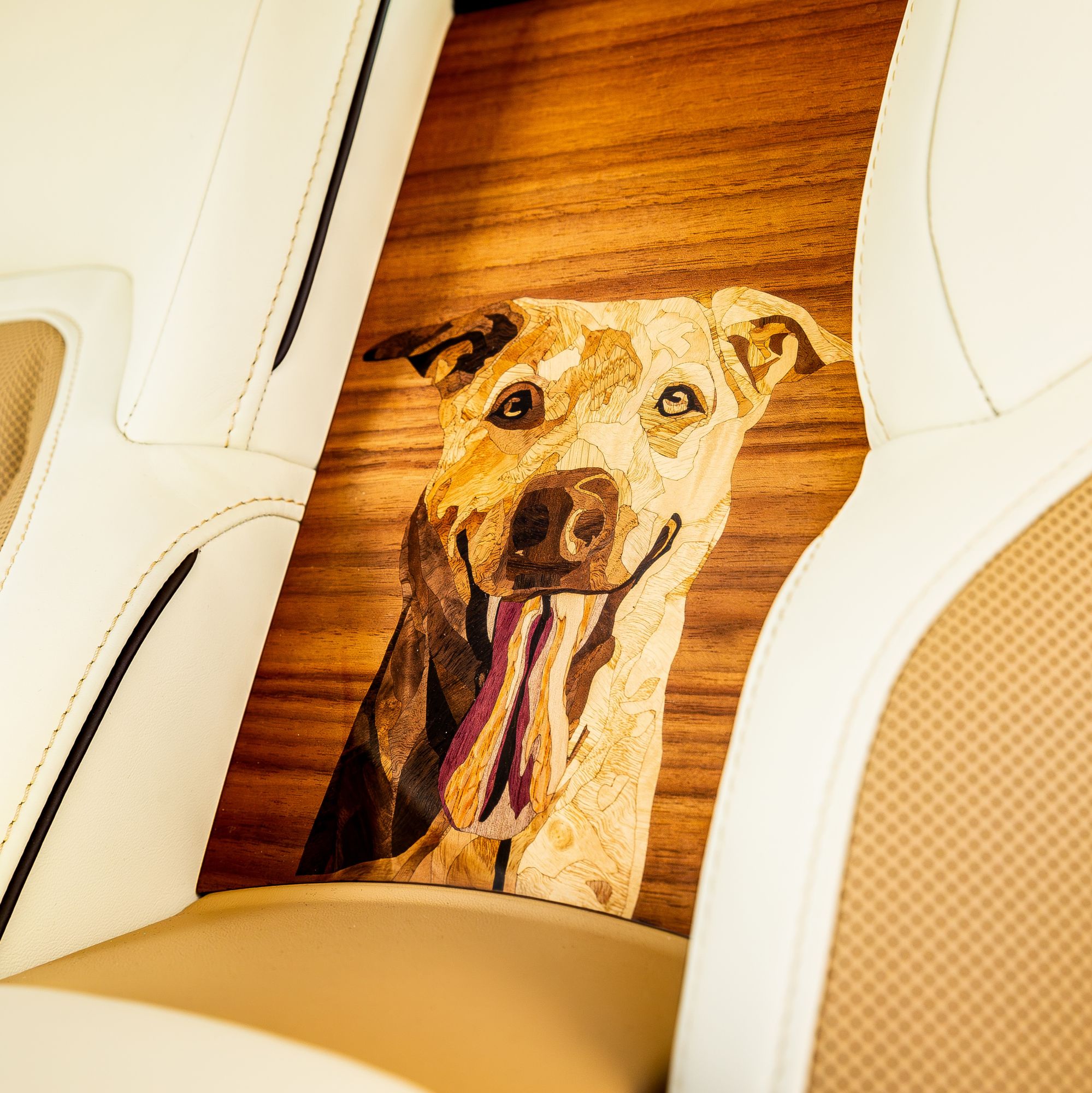 ROLLS-ROYCE SPECTRE BAILEY: A Joyful Tribute to a Beloved Dog via Vaughn Lowery's 360 MAGAZINE.