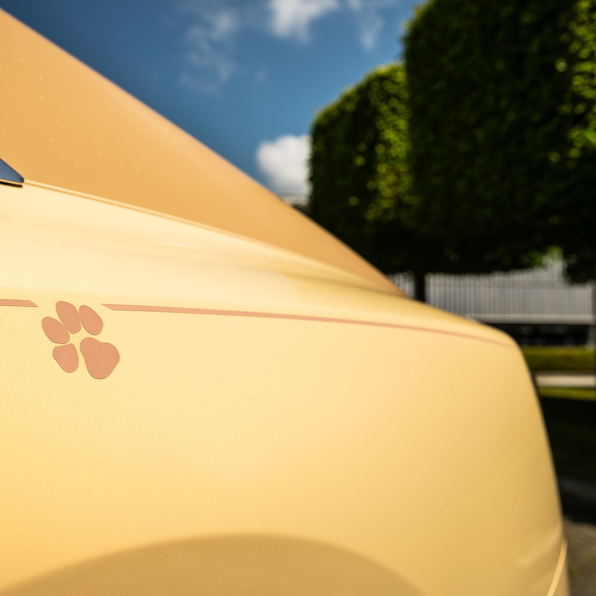 ROLLS-ROYCE SPECTRE BAILEY: A Joyful Tribute to a Beloved Dog via Vaughn Lowery's 360 MAGAZINE.