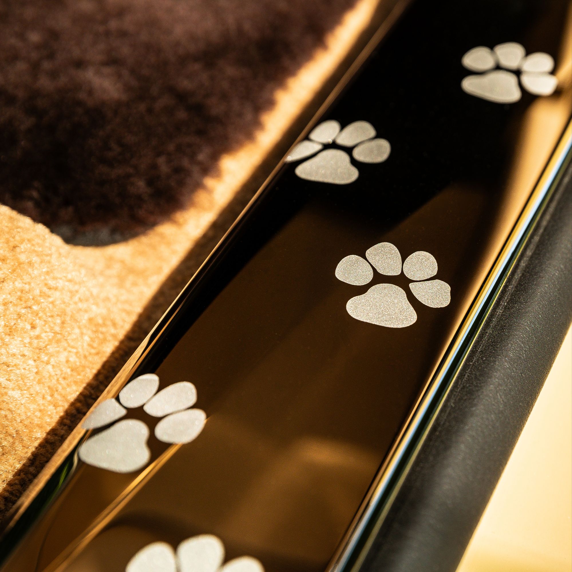 ROLLS-ROYCE SPECTRE BAILEY: A Joyful Tribute to a Beloved Dog via Vaughn Lowery's 360 MAGAZINE.