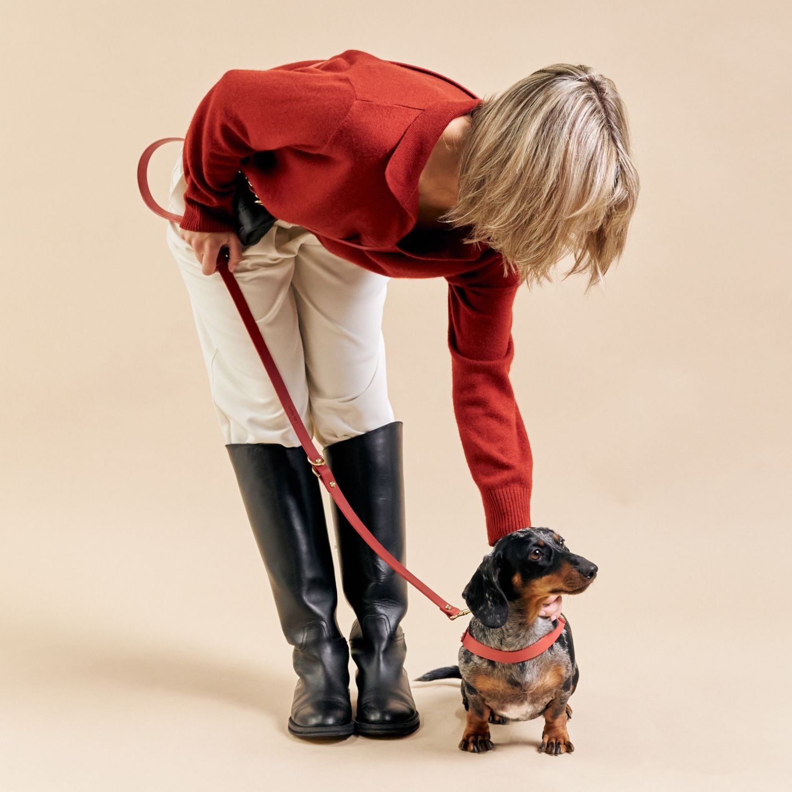 Luxury pet fashion, collars and accessories via 360 MAGAZINE.