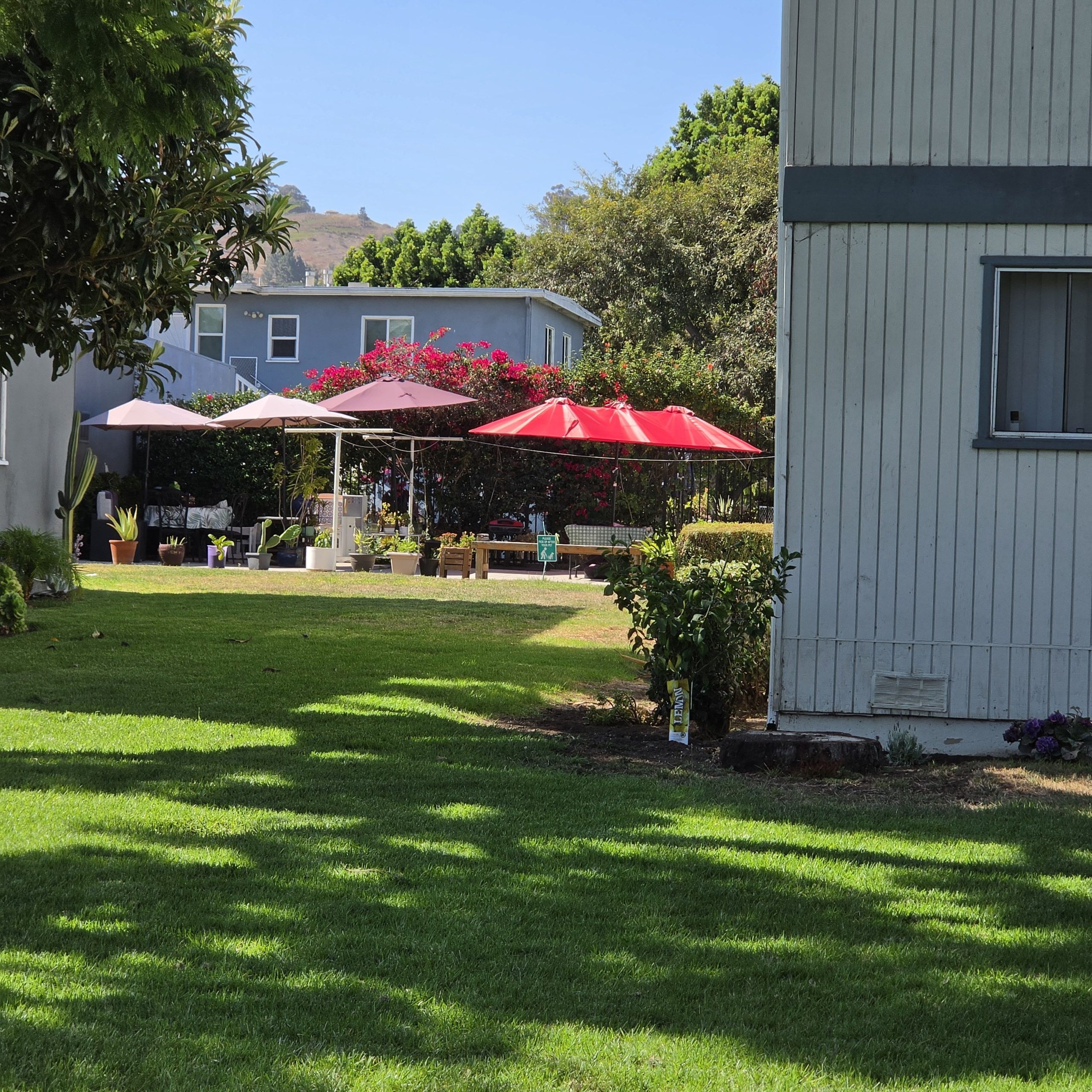 Backyard home improvement and home ownership article via 360 MAGAZINE.